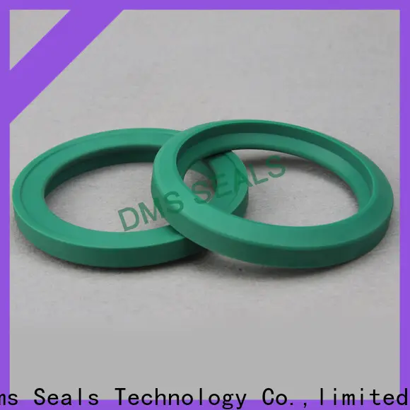 DMS Seal Manufacturer seal kit suppliers o ring for larger piston clearance 1