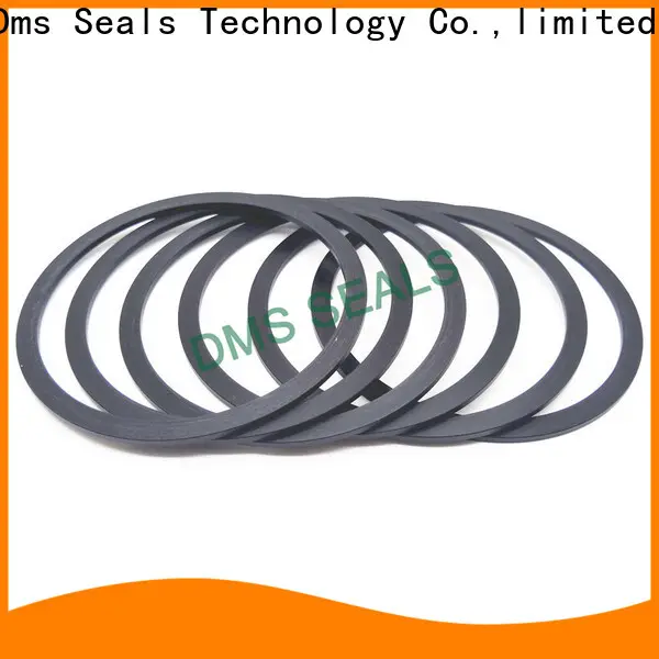 DMS Seal Manufacturer plastic industrial gasket material material for preventing the seal from being squeezed 1