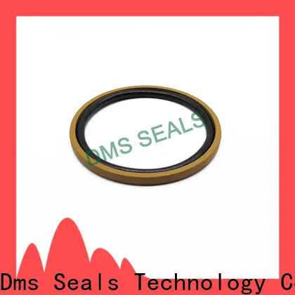 DMS Seal Manufacturer hydraulic o rings suppliers factory for pneumatic equipment 1