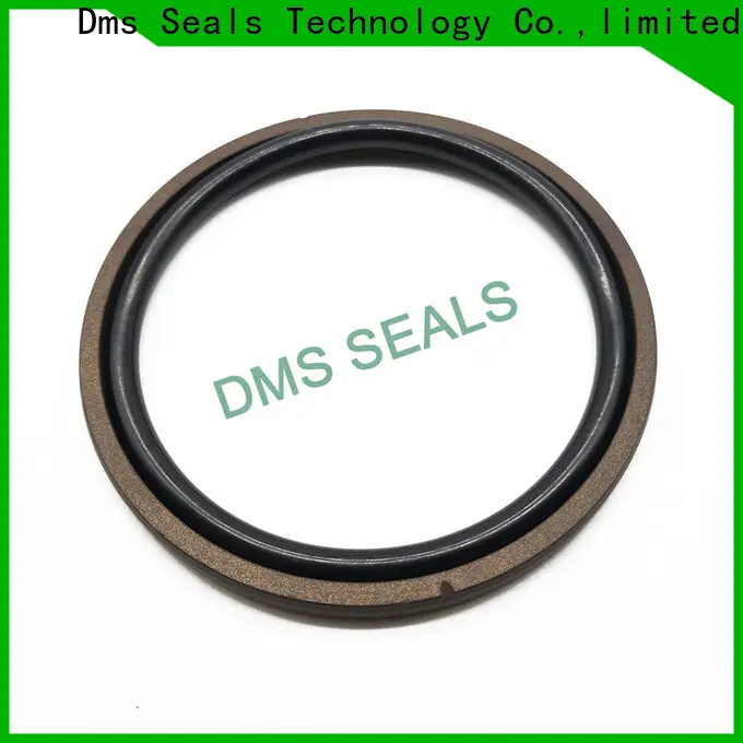DMS Seal Manufacturer Wholesale oil seal hydraulic manufacturer for pneumatic equipment 1