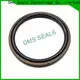 DMS Seal Manufacturer Wholesale oil seal hydraulic manufacturer for pneumatic equipment 1