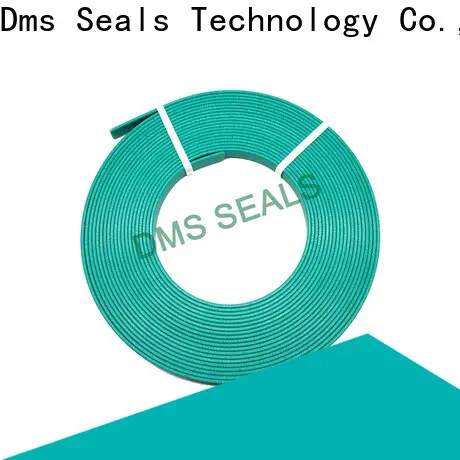 DMS Seal Manufacturer Top ball bearing wear guide strip for sale 1
