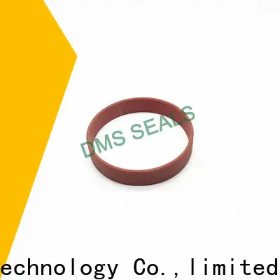 DMS Seal Manufacturer Top roller bearing race Suppliers for sale 1