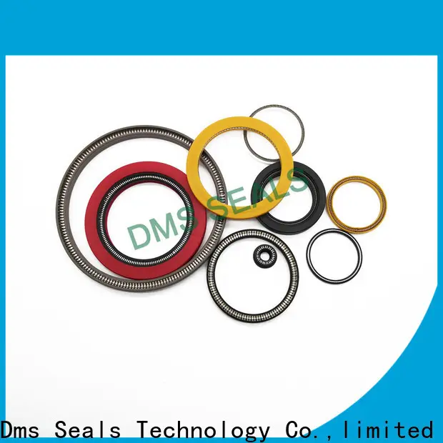 DMS Seal Manufacturer High-quality multi spring seal manufacturers for reciprocating piston rod or piston single acting seal 1