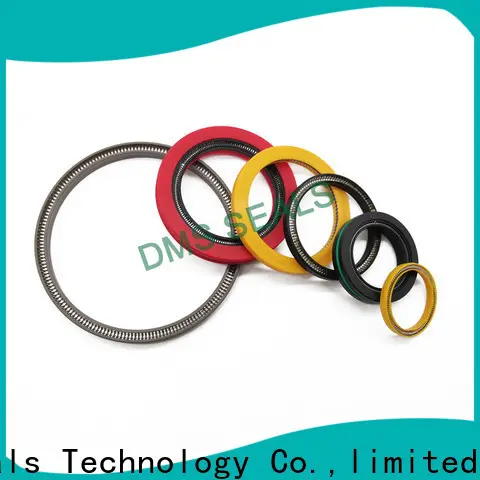 DMS Seal Manufacturer Custom mechanical seal dimensions factory for aviation 1