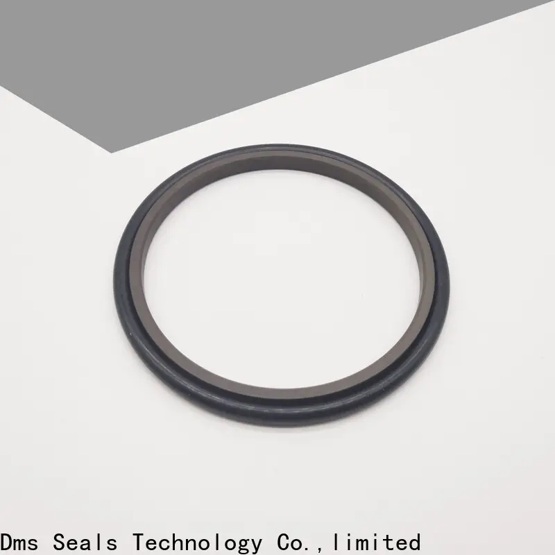 DMS Seal Manufacturer hydraulic oil seal manufacturers o ring for piston and hydraulic cylinder 1