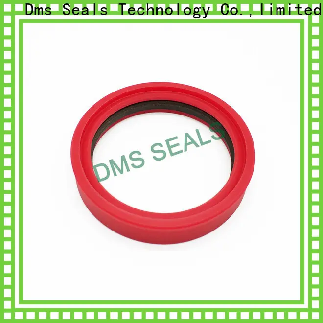 DMS Seal Manufacturer mechanical seal operation supplier for piston and hydraulic cylinder 1