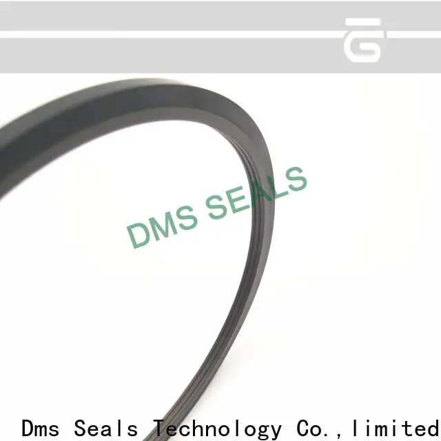 DMS Seal Manufacturer wheel seal manufacturers glyd ring for larger piston clearance 1