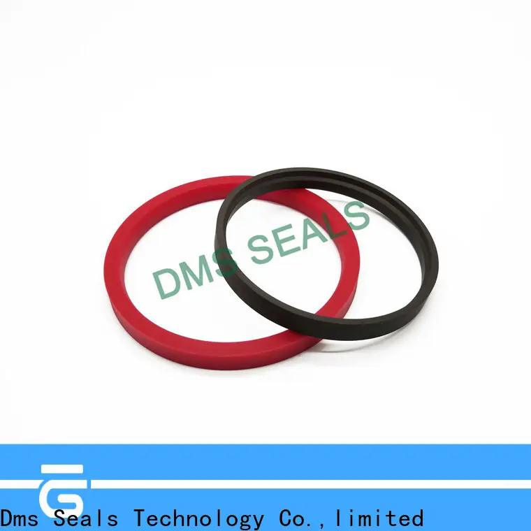 DMS Seal Manufacturer viton oil seal manufacturers wholesale for larger piston clearance 1