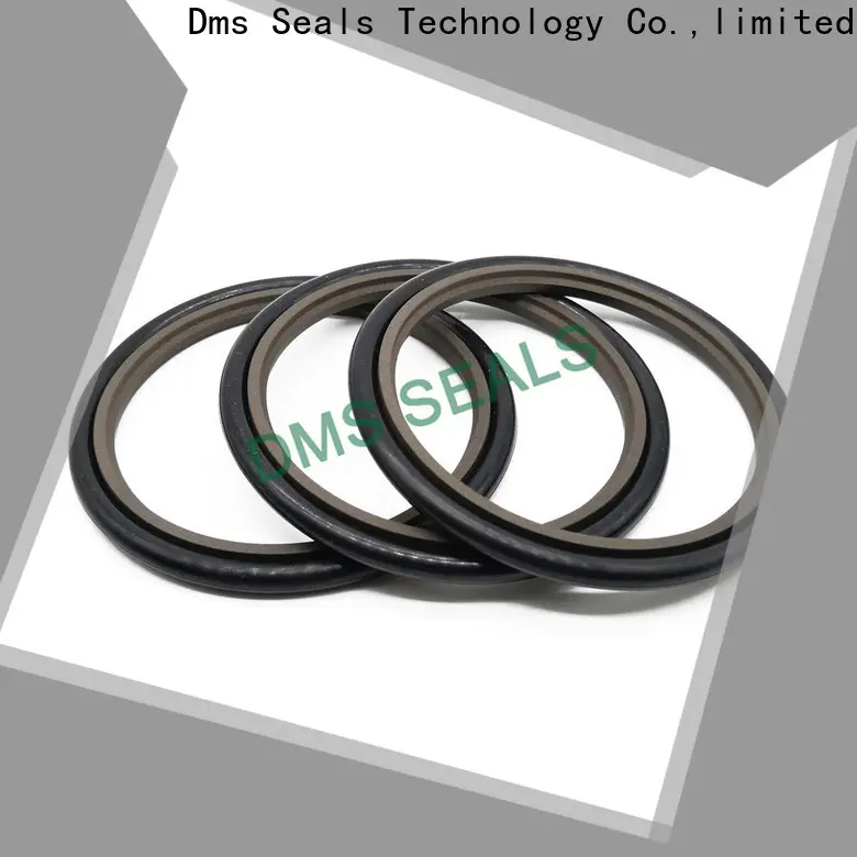 DMS Seal Manufacturer hot sale crane mechanical seals glyd ring 1