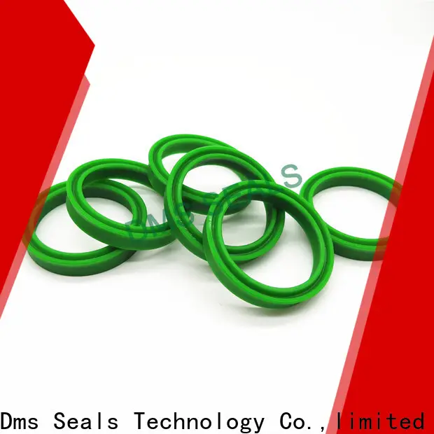 DMS Seal Manufacturer best gaco seals supplier glyd ring for larger piston clearance 1