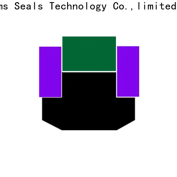 DMS Seal Manufacturer Latest transmission piston seal company for pneumatic equipment 1