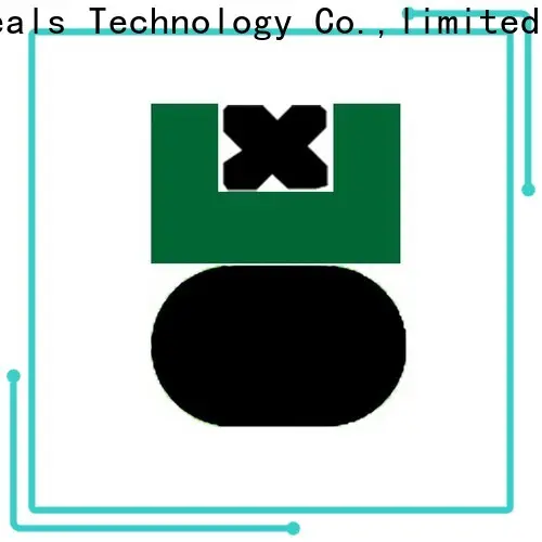 DMS Seal Manufacturer custom oil seals with ptfe nbr and pom for pneumatic equipment 1
