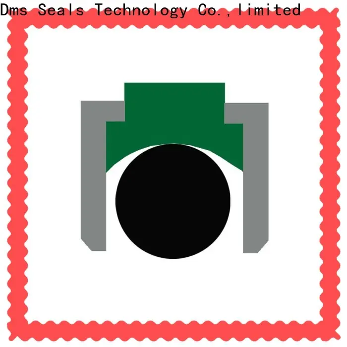 DMS Seal Manufacturer hydraulic piston seals suppliers manufacturers for pneumatic equipment 1