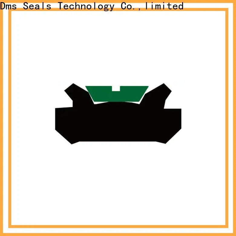 DMS Seal Manufacturer High-quality rod seal design Suppliers for sale 1