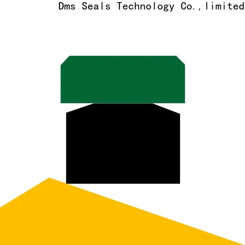 DMS Seal Manufacturer High-quality rod seal design factory for sale 1