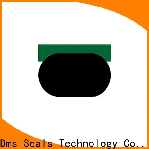 Custom rod seal design manufacturer for sale 1