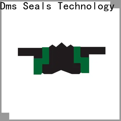 DMS Seal Manufacturer piston washer with ptfe nbr and pom for pneumatic equipment 1
