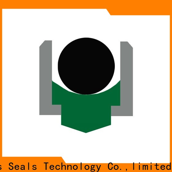 DMS Seal Manufacturer High-quality rotary lip seal application for business for construction machinery 1