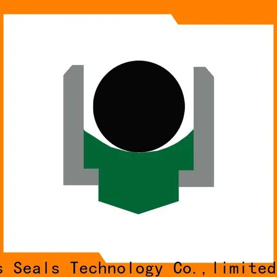 DMS Seal Manufacturer High-quality rotary lip seal application for business for construction machinery 1