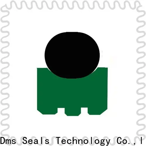 DMS Seal Manufacturer Custom seal rotary shaft for construction machinery 1
