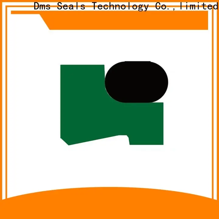 DMS Seal Manufacturer Top rod seal catalogue with nbr or fkm o ring for injection molding machines 1