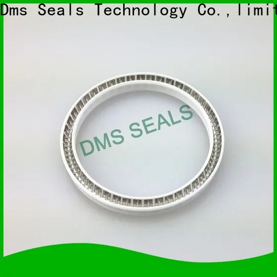 DMS Seal Manufacturer Custom rotary seals manufacturer factory for aviation 1