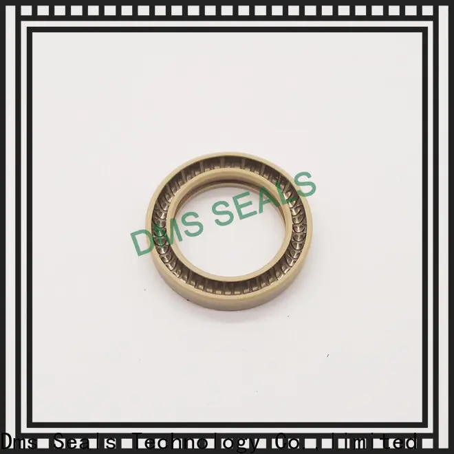loaded lip seal manufacturers for reciprocating piston rod or piston single acting seal 1