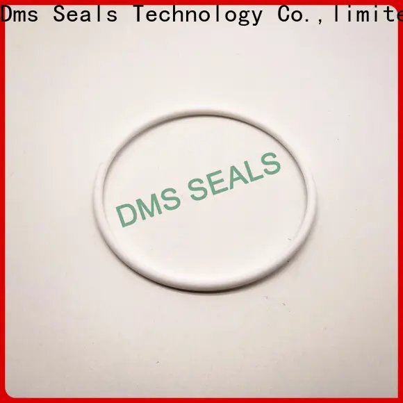 High-quality buy rubber o rings company in highly aggressive chemical processing 1