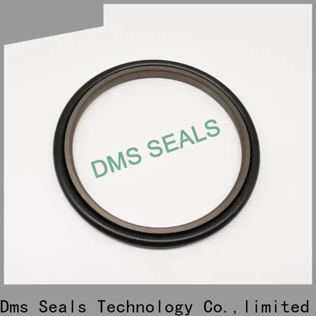 ptfe china mechanical seal manufacturers glyd ring for piston and hydraulic cylinder 1