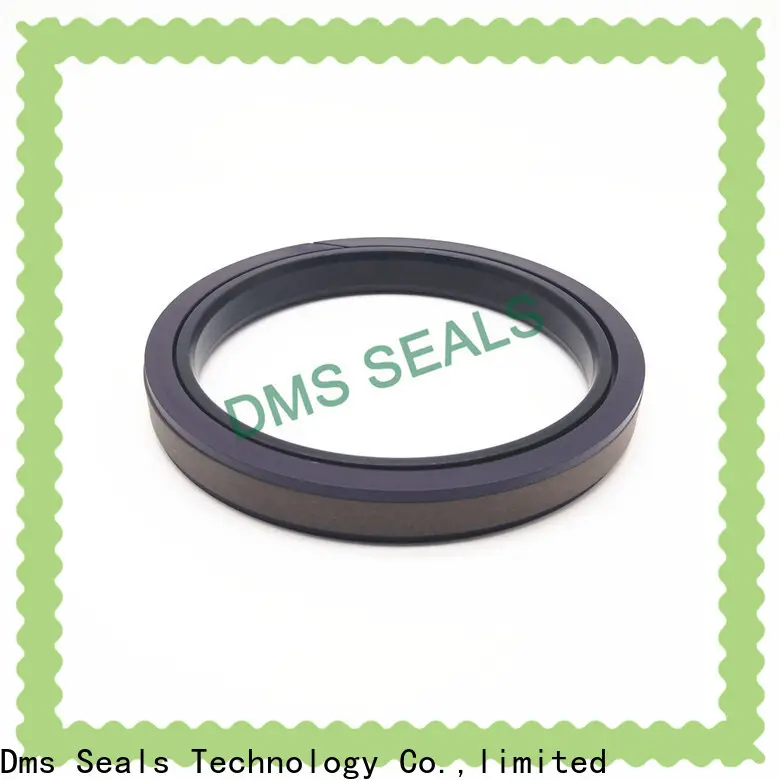 DMS Seal Manufacturer ptfe bonded seal manufacturer glyd ring 1