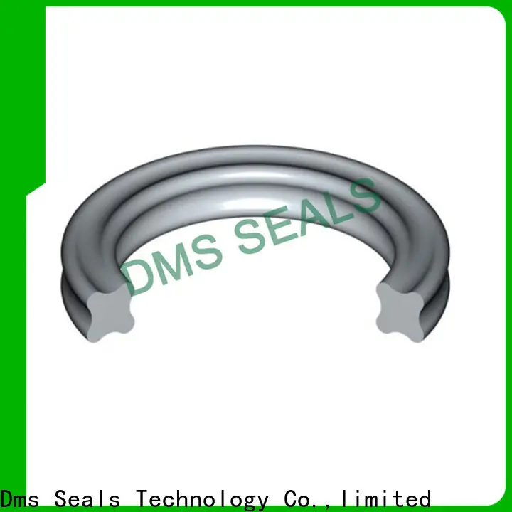 DMS Seal Manufacturer o ring retailer factory for static sealing 1