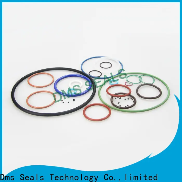 DMS Seal Manufacturer Latest 3 4 inch rubber o ring factory in highly aggressive chemical processing 1