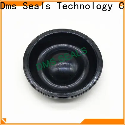 DMS Seal Manufacturer high quality rubber edge trim moulding manufacturers for leakage gap 1