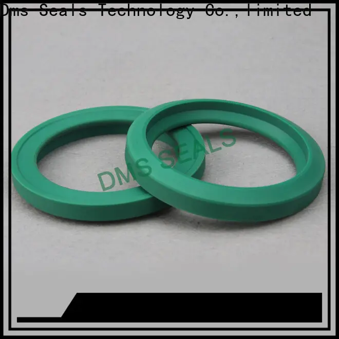 DMS Seal Manufacturer hot sale diaphragm seal manufacturer o ring 1