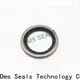 DMS Seal Manufacturer dowty bonded seal washer company for threaded pipe fittings and plug sealing 1