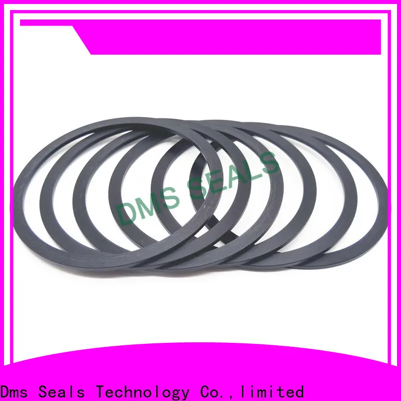 DMS Seal Manufacturer foam gasket manufacturers torque for liquefied gas 1