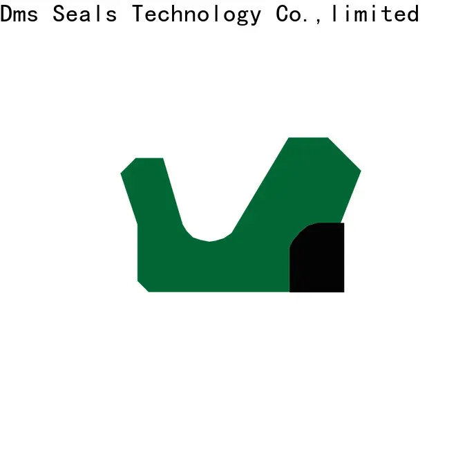 DMS Seal Manufacturer hydraulic cylinder packing material Suppliers for sale 1