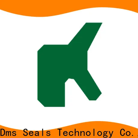 DMS Seal Manufacturer professional metric wiper seals Suppliers for agricultural machinery 1