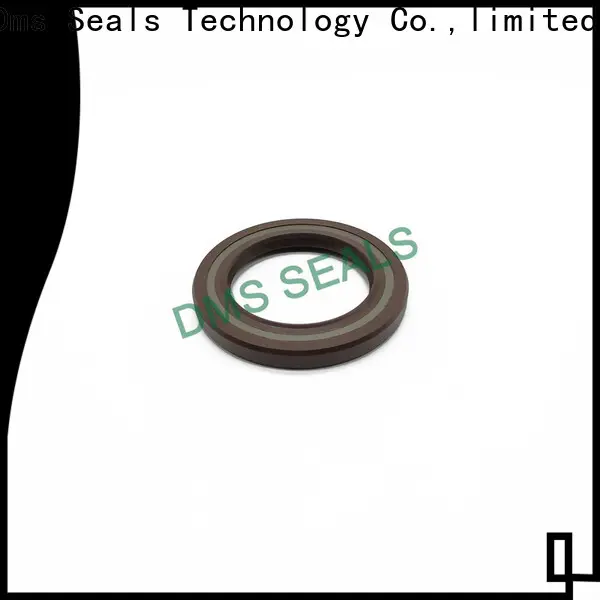 DMS Seal Manufacturer piston oil seal with a rubber coating for low and high viscosity fluids sealing 1
