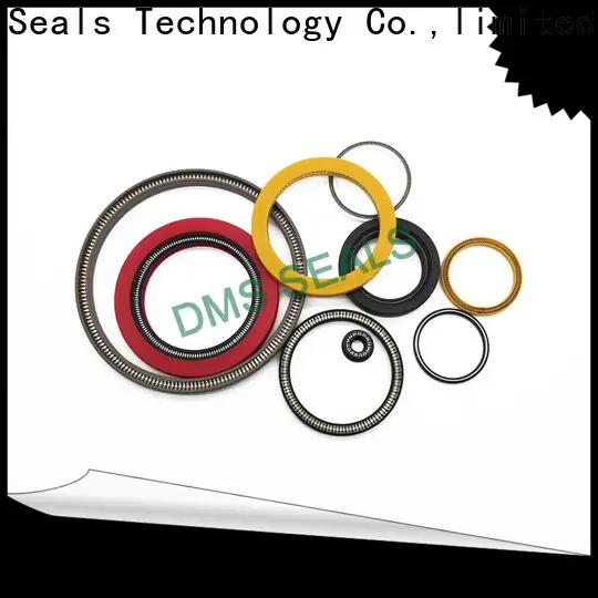 DMS Seal Manufacturer rotary lip seal application company for reciprocating piston rod or piston single acting seal 1