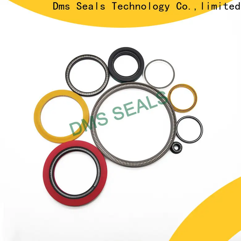 DMS Seal Manufacturer spring energized seals manufacturers for reciprocating piston rod or piston single acting seal 1