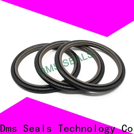 DMS Seal Manufacturer oil seal manufacturers wholesale for piston and hydraulic cylinder 1