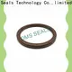 DMS Seal Manufacturer oil seal manufacturer with a rubber coating for low and high viscosity fluids sealing 1