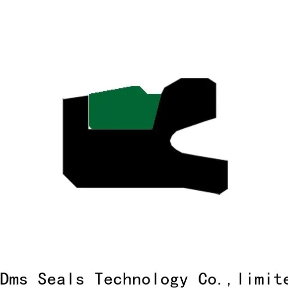 DMS Seal Manufacturer hydraulic oil seal manufacturers manufacturer for sale 1