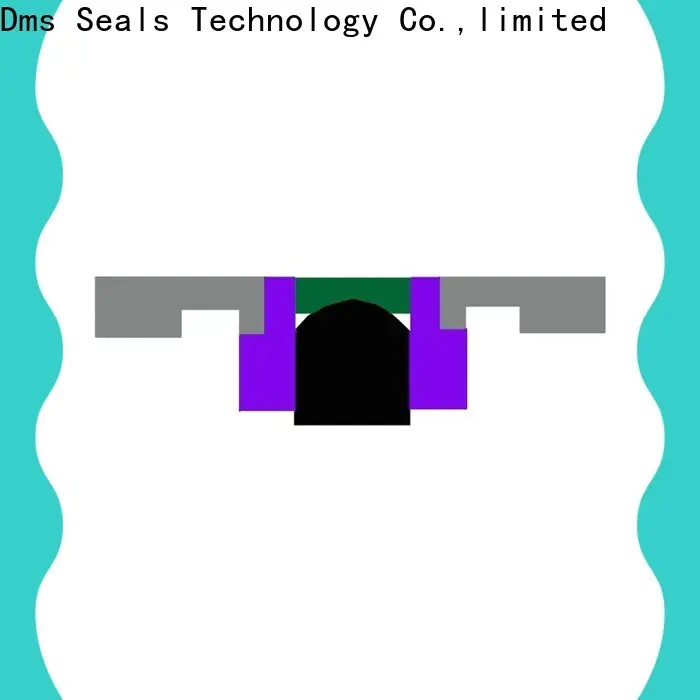 DMS Seal Manufacturer rod seal installation manufacturer for sale 1