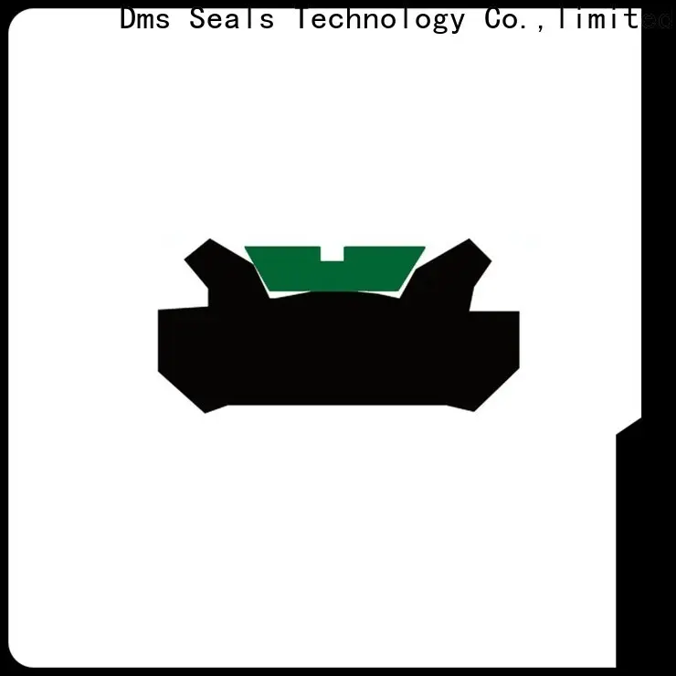 DMS Seal Manufacturer New hydraulic cylinder shaft seals Suppliers for sale 1