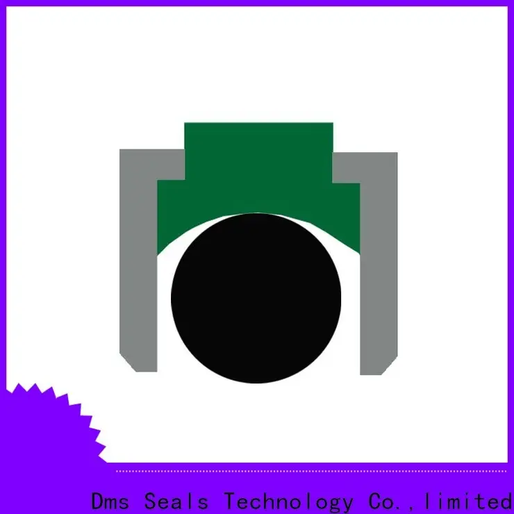 DMS Seal Manufacturer hyd seal Supply for pneumatic equipment 1