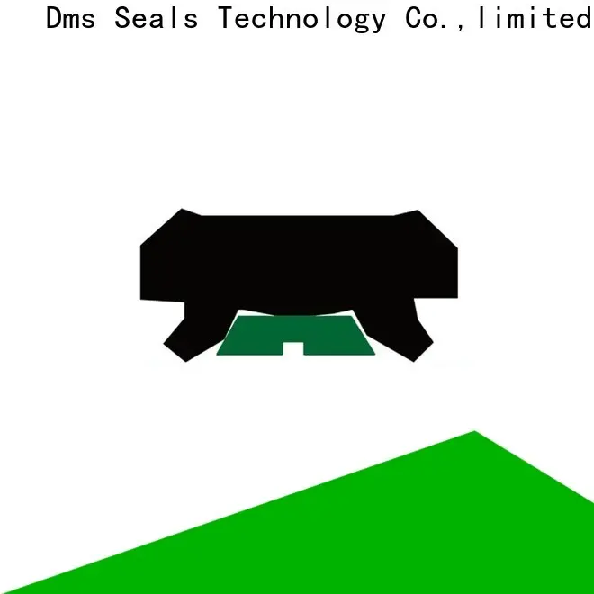 DMS Seal Manufacturer Best pneumatic seals factory for pressure work and sliding high speed occasions 1
