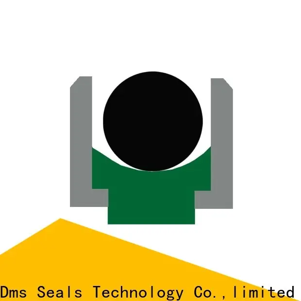 DMS Seal Manufacturer viton rubber seal with nbr or fkm o ring to high and low speed 1